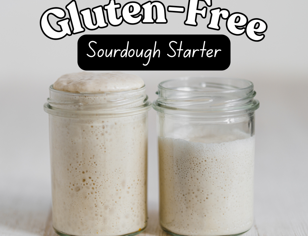 Gluten-Free Sourdough Starter
